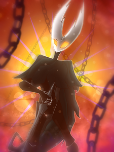 the hollow knight